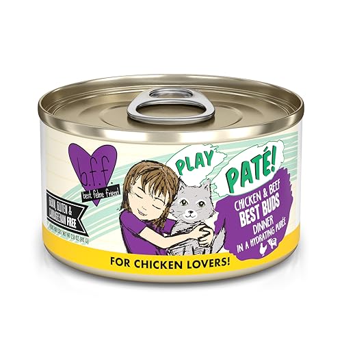 B.F.F. Play Best Feline Friend Paté Lovers (2.8 Ounce (Pack of 12))