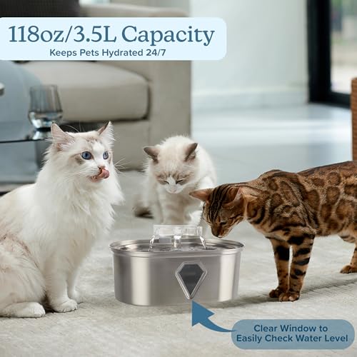 Cat Water Fountain (Stainless Steel and PC)
