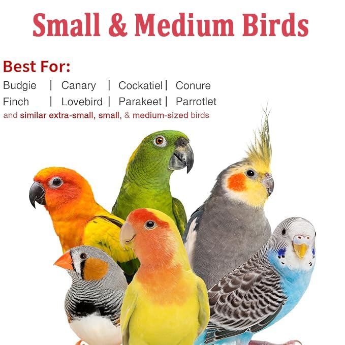 Small Bird Travel Carrier (Grey)