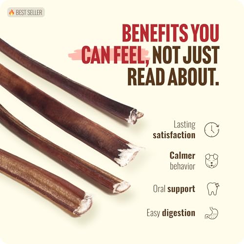 Odor Free Thin Bully Sticks (12" Thin - 12 Count)