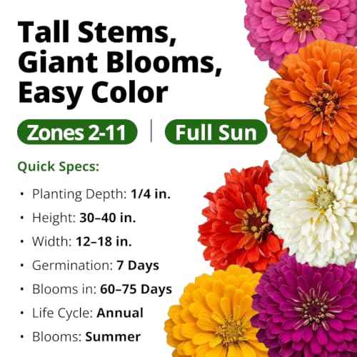 State Fair Zinnia Seeds