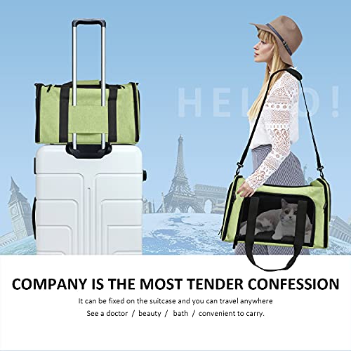 Large Cat Carriers Dog Carrier Pet Carrier for Large Cats Dogs Puppies up to 25Lbs (20.0"L x 13.0"W x 13.0"H / Green)