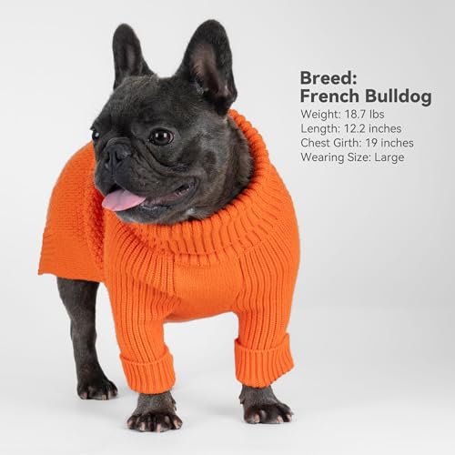 Dog Sweater Long Sleeve Knitted Turtleneck Pullover Warm Clothes (Orange / Medium)