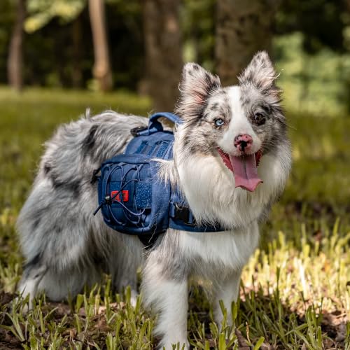 Dog Backpack for Medium & Large Dogs (Blue / Large)