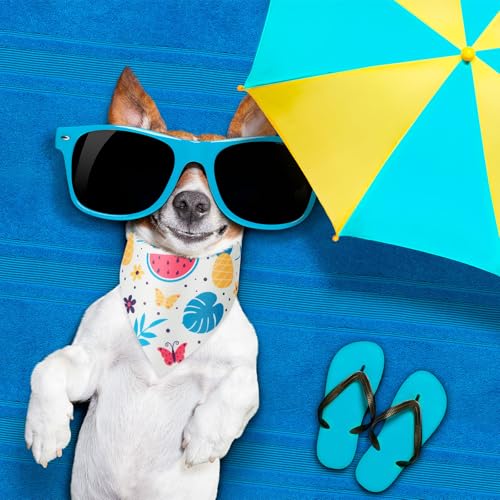 50 Pcs Fruit Dog Bandanas Bulk for Summer Soft Bibs Adjustable Triangle pet Bandana for Small Medium Large Costume (Fruits Pattern / 19.7 x 13.8 x 13.8 Inch)