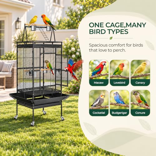 68 Inch Birdcage