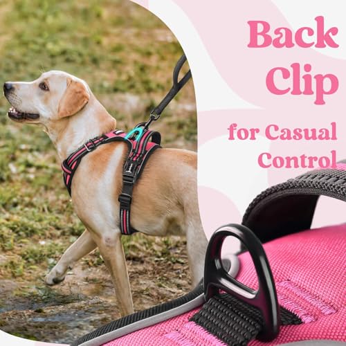 Dog Harness for Large (X-large / Rose Pink)