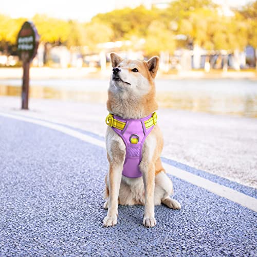 No Pull Dog Harness (Baby Purple Base & Yellow Straps / Large)