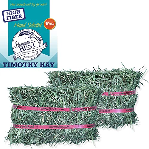 Timothy Hay Mini Bale (160 Ounce (Pack of 1))