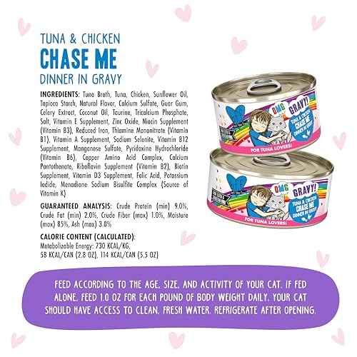 B.F.F. OMG Best Feline Friend Oh My Gravy! (2.8 Ounce (Pack of 12))