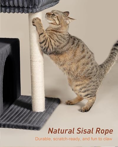 22.8" Cat Tree for Large Cat (Dark Gray)
