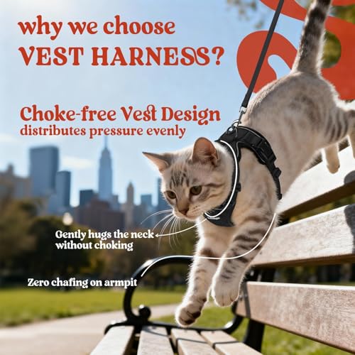 Cat Harness and Leash Set (Xs / Black)