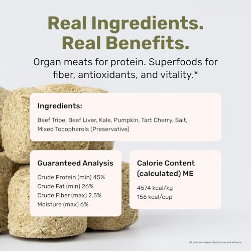 Superfood Nuggets (8 Ounce (Pack of 1))