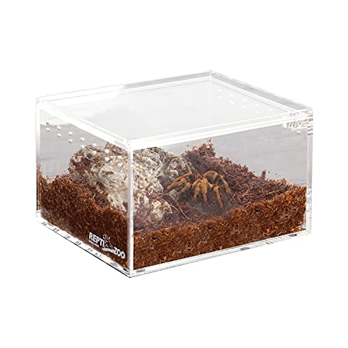 Magnetic Acrylic Case 4.1"x3.3"x2.5" Nano Enclosure Reptile Breeding Box Terrarium Cage Tank Tarantula Scorpion Sling Isopods Lizards Roach Invertebrates Insect Mantis