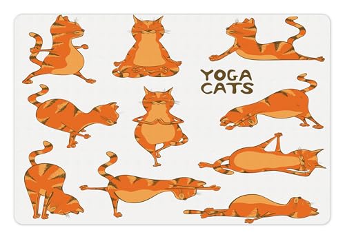 Cat Pet Mat for Food and Water (Orange White)