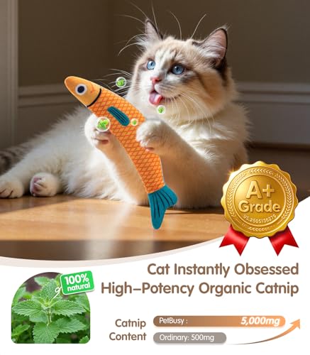 Cat Toys with[5000mg A+Natural Catnip &Silvervine] [Baby Grade] Interactive Soft Chew Kicker Cat Toys for Indoor Cats & Kittens (Red+Green+Yellow)