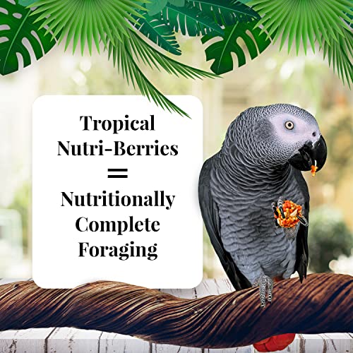 Tropical Fruit Nutri (14 Pound (Pack of 1))