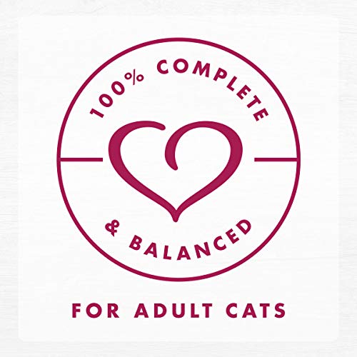 Purina Fancy Feast Gourmet Naturals Chicken and Beef (1 Count (Pack of 12))