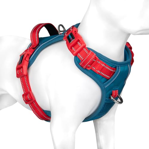No Pull Dog Harness (Teal Base & Red Straps / Large)