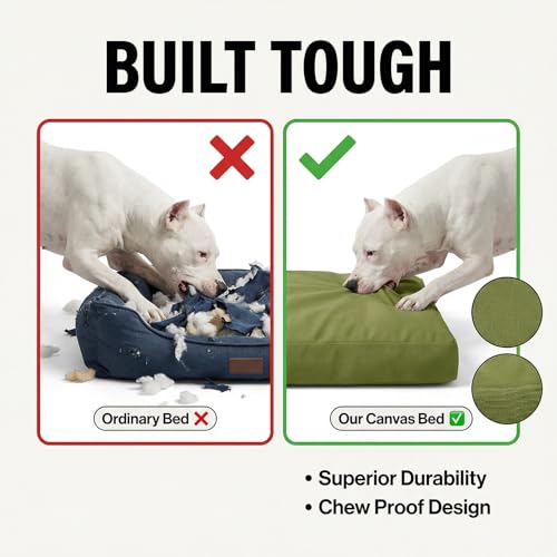 42 Inch Waterproof Indestructible Dog Bed for Extra Large Dogs (Green / X-Large)