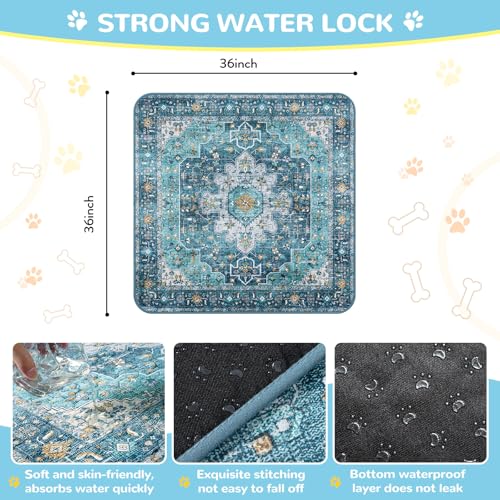 Super Absorbent Washable Pee Pads for Dogs (Blue / 3FT x 3FT (Pack of 2))