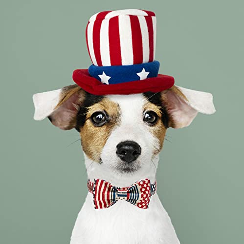 Independence Dog Collar (Blue Flag / Medium (Pack of 1))