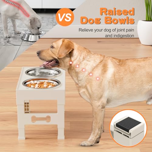 Elevated Dog Bowls with 2 Stainless Steel Bowls (For Medium Large Dogs / Apricot)