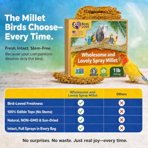 1 LB Wholesome Spray Millet for Birds (1 Pound (Pack of 1))