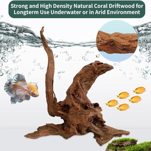 Natural Large Driftwood for Aquarium 12