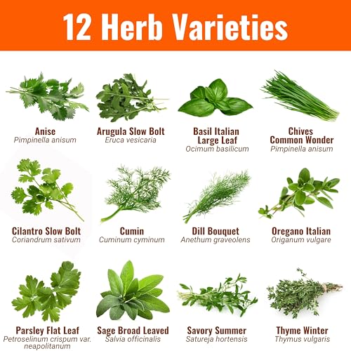 Herb Seeds 12 Packs