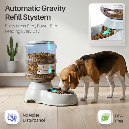 Gravity Pet Feeder (4-6 lb Feeder (1 Gallon) / Feeder)