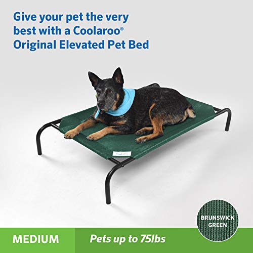 The Original Cooling Elevated Pet Bed (Medium Dog Bed / Brunswick Green (Pack of 1))