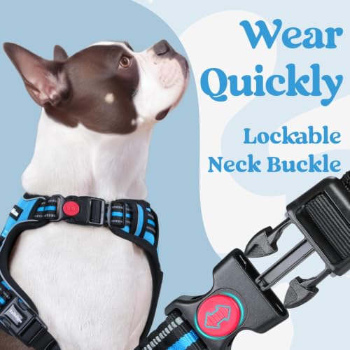 Dog Harness for Large (Large / Sky Blue)
