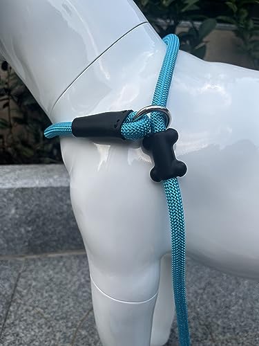 Slip Lead Dog Leash (1/2"×6ft / Blue)