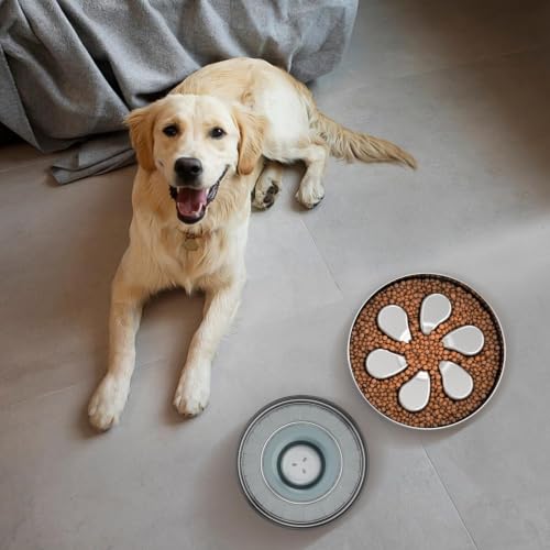 Slow Feeder Dog Bowl 3.5 (Flower-2Pack)