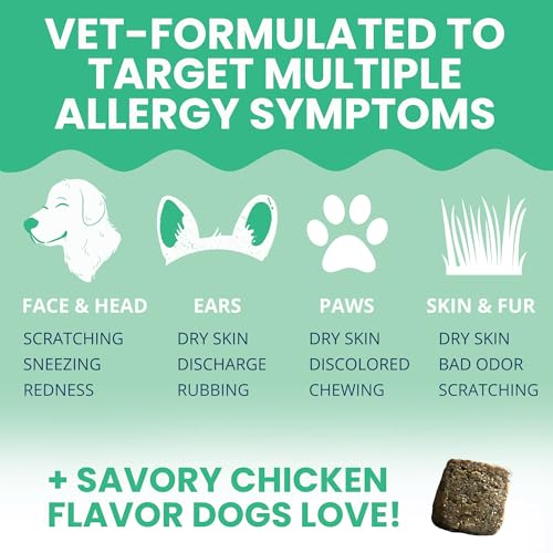 Allergy & Itch Pet Allergy Chews for Dogs
