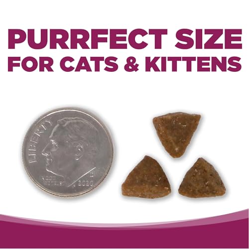 Cat & Kitten Dry Food (4 Pound (Pack of 1))