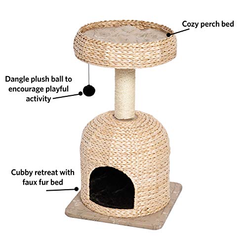Cat Tree Scout Cat Furniture Cat Activity Tree w (Scout Woven Rattan/Script)