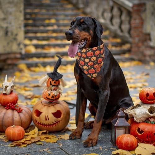 Halloween Dog Bandana (X-Large / Halloween)