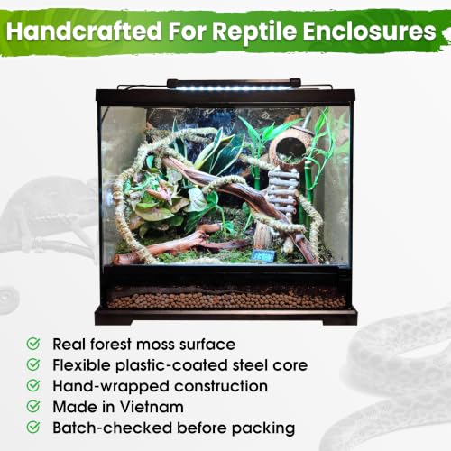 10FT Reptile Vines for Climbing (Green Reptile Vine - 10 Feet)