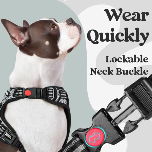 Dog Harness Medium Sized
