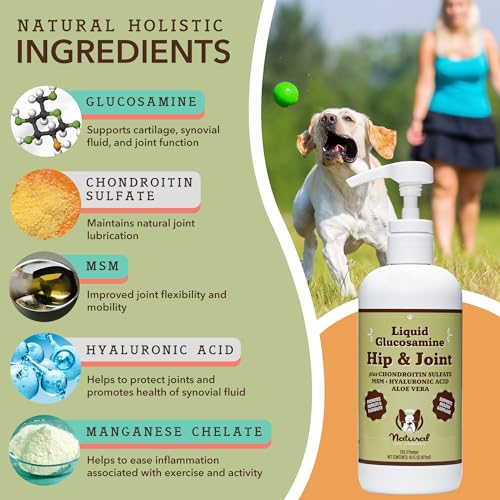 Healthy Joints (2 X16 fl. oz / Bundle)