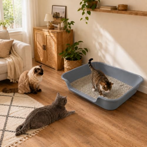 1 Pack of Extra Large Cat Litter Box (Large (Pack of 1) / Dark Gray)