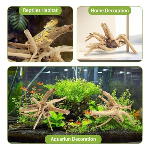 Natural Driftwood for Aquarium (Spiderwood（7-13 inch pack of 2）)