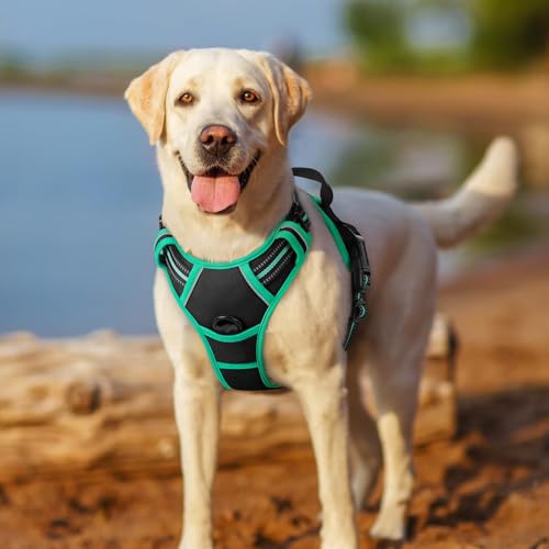 Dog Harness No Pull for Large Dogs with 2 Leash Clips (X-Large / Black & Turquoise)