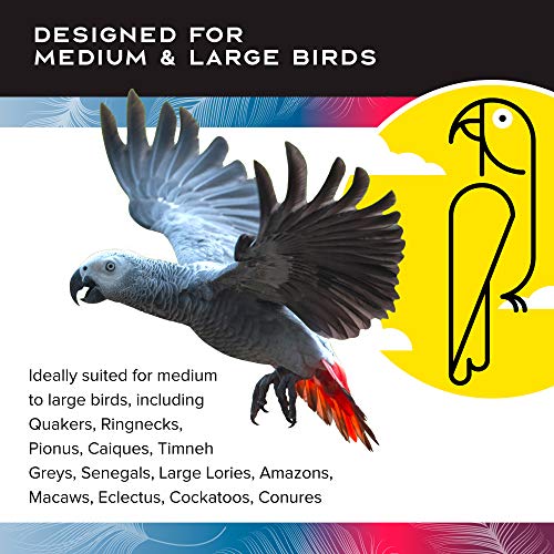Creative Foraging Systems Bird Cage Feeder (X-Large)
