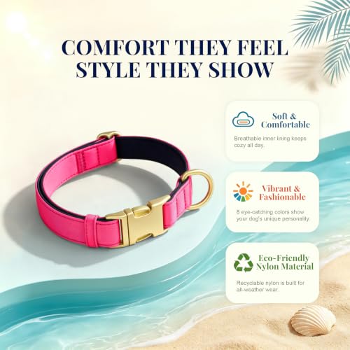 Soft Padded Dog Collar for Small Dogs (Neon Pink / S：Fit 10-15" Neck, Width ⅝")