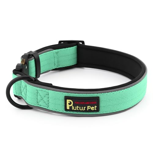Tactical Dog Collar (L / Teal)