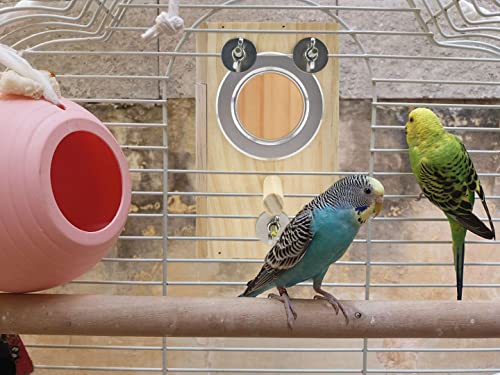 Bird Nest Box Parakeet Breeding Nest Box Bird Nest House Wooden Acrylic Transparent Breeding Box for Finch Lovebirds Cockatiel Budgie Conure Parrot (X-Small)
