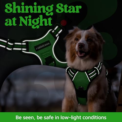 Dog Harness for Large (Green / Large)